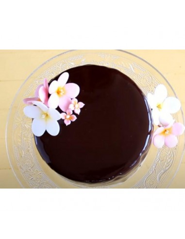 BAÑADORA PARCIAL PARA  TOP-11